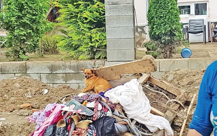 Asta au lăsat în urmă inundațiile după ploile de săptămâna trecută, în satul Răchita