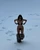 5 kendall jenner 2 jpg jpeg