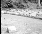Sarmizegetusa Regia 1964  Foto Szabó Tamás, Muzeul Etnografic al Transilvaniei  jpg