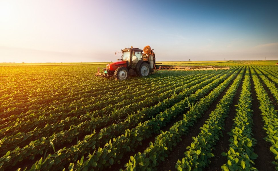 Fermieri cer aprobat urgent Legea Arendei pentru schimbul de terenuri în agricultură | sursa foto: Adevarul