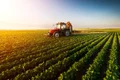 Teren agricol tractor FOTO Shutterstock