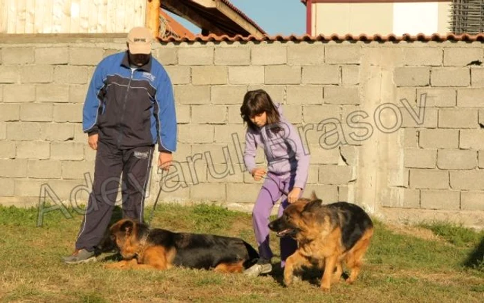 Onja şi Mabel, cele două căţeluşe ale familie Orghidan, sunt atât un bun paznic, cât şi un prieten de nădejde pentru micuţa Izabela. Foto: Bogdan Crăciun