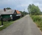 Drumul Cerbăl   Feregi din Poiana Răchițelii  Foto Daniel Guță ADEVĂRUL (17) jpg
