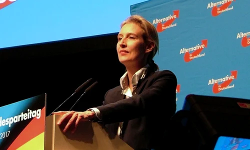 Primul partid de extrema dreaptă care intră în Parlamentul german după cel de al Doilea Război Mondial / VIDEO jpeg