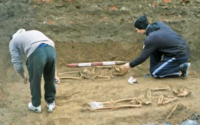 Primele schelete au fost descoperite în urmă cu 11 zile