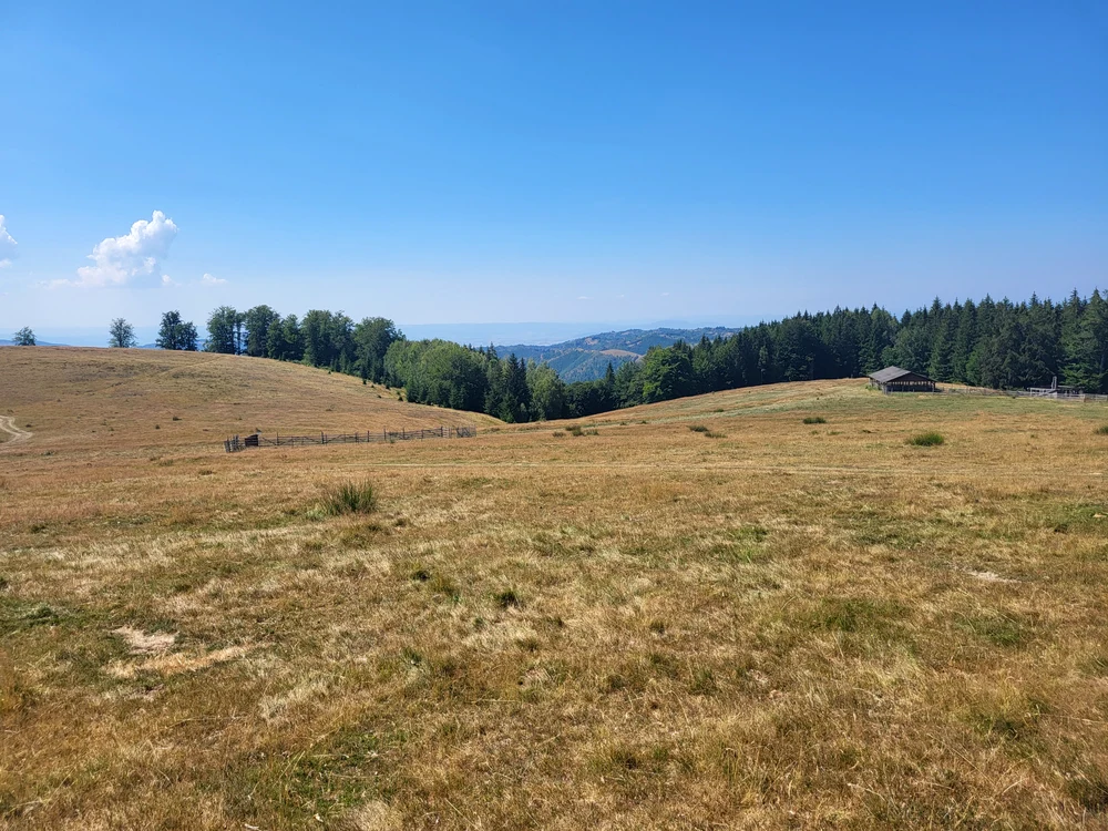 Poiana Omului jpg
