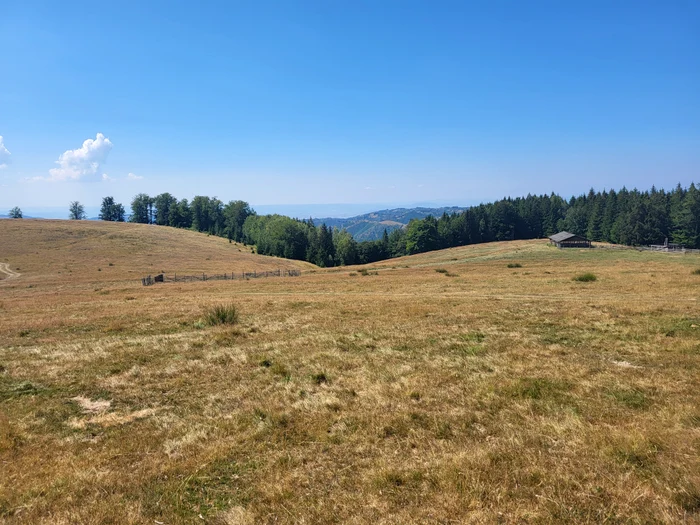 Poiana Omului jpg
