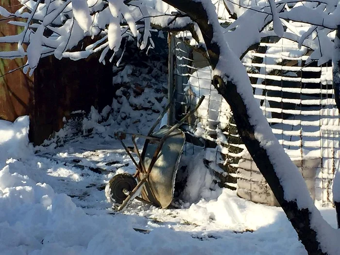 Aceasta este roaba lui Robu