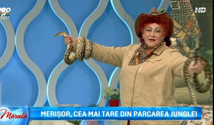 
    Elena Merişoreanu a repetat experienţa de la "Sunt celebru, scoate-mă de aici" în directfoto: captură Pro Tv  