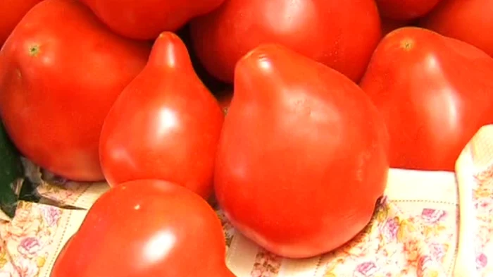 Specialiștii avertizează că roșiile cu ”moț” conțin chimicale în exces