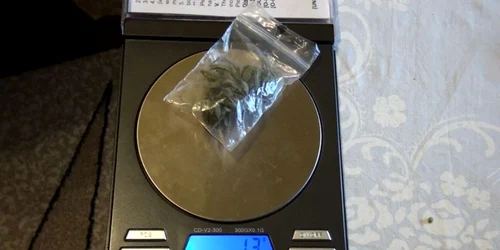 Avea cannabis (foto arhivă)