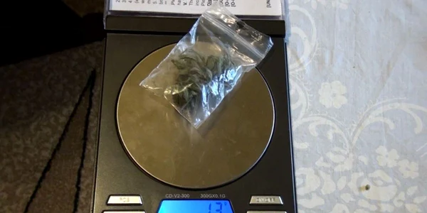 Avea cannabis (foto arhivă)