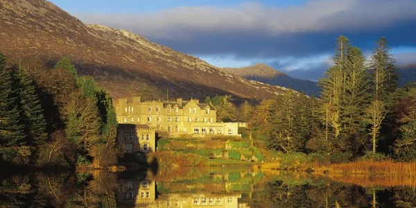 catelul irlanda