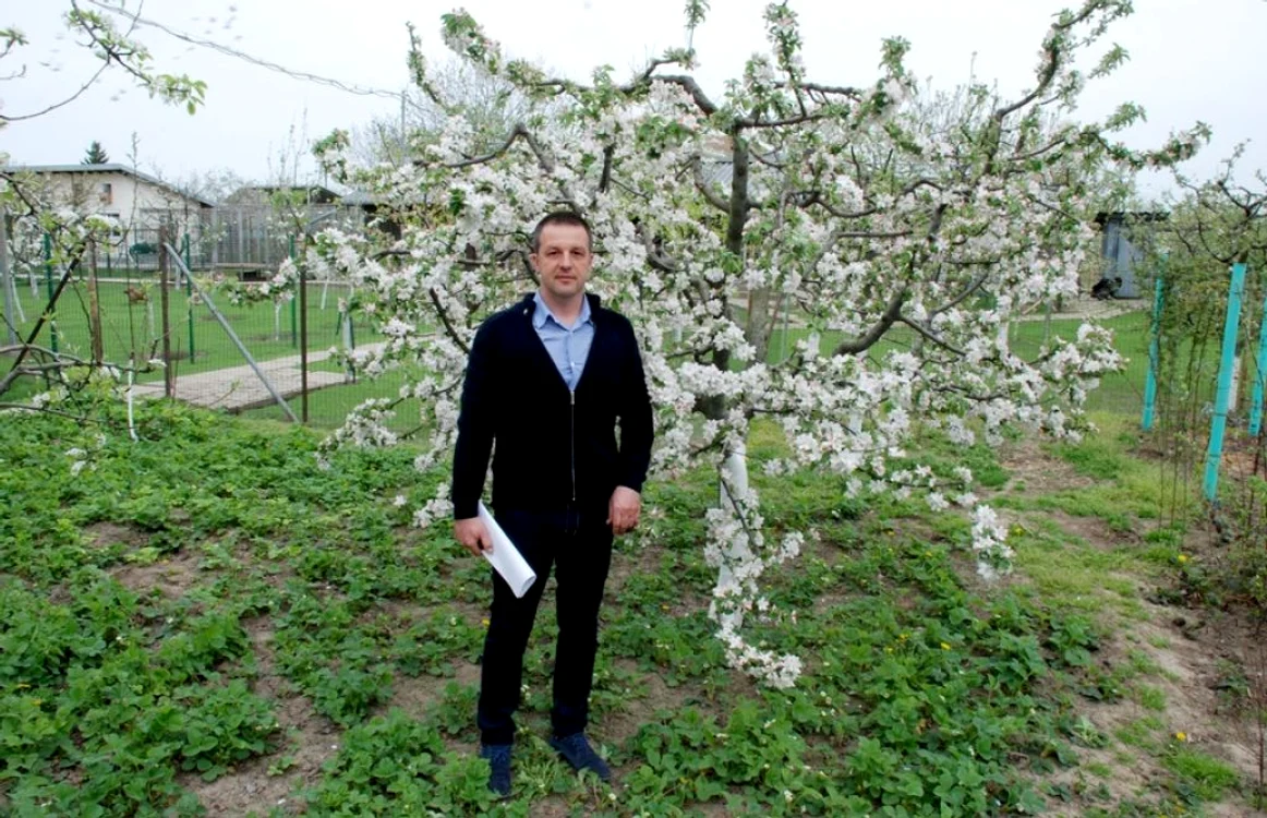 Marian Dragomir are o mică livadă cu pomi fructiferi în curtea sa din comuna Chiscani  FOTO Florentin Coman
