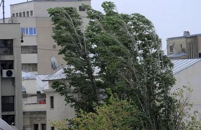 Capitala şi alte 6 judeţe se află sub cod galben de vântFoto Click!
