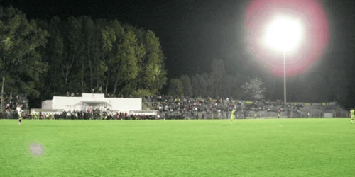 stadion titu