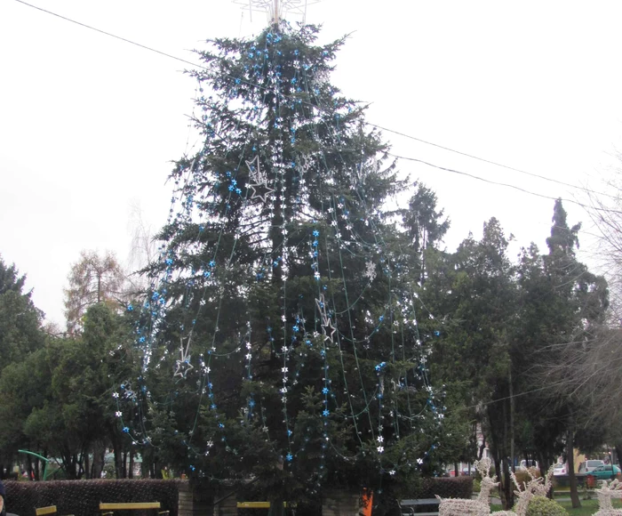 Anul acesta s-au cheltuit 150.000 de lei pentru iluminatul de sărbători