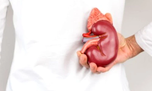 1 74123 original jpg jpeg