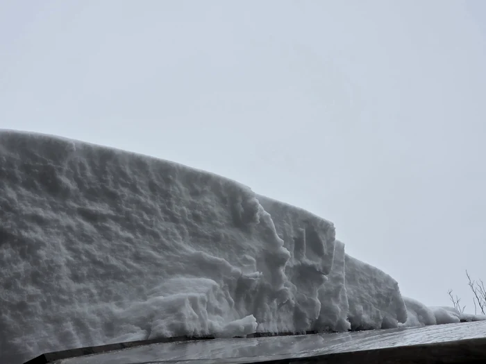 Legumicultorul spune că n-a mai căzut așa zăpadă în ultimii 20 de ani Sursa: Claudiu Breazu