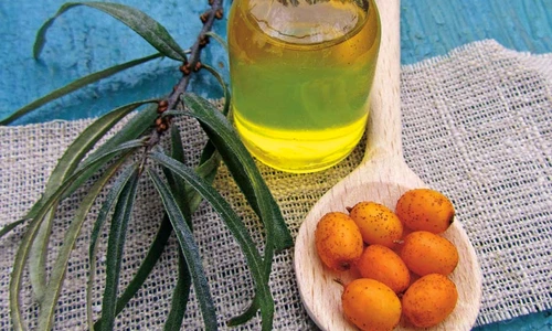 ulei de cătină beneficii jpeg