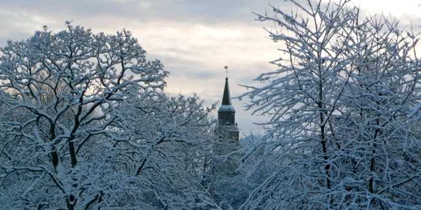 ger mures