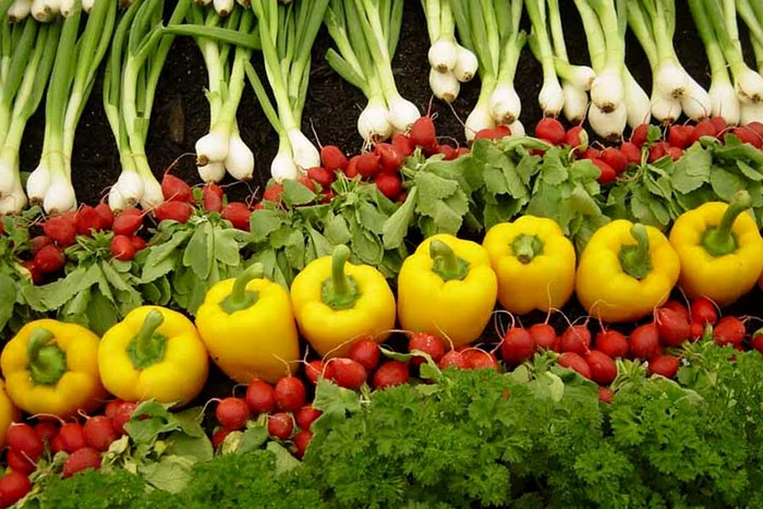 
    Ziua Mondială a Alimentaţiei  