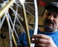 Biciclistul reparator jpeg
