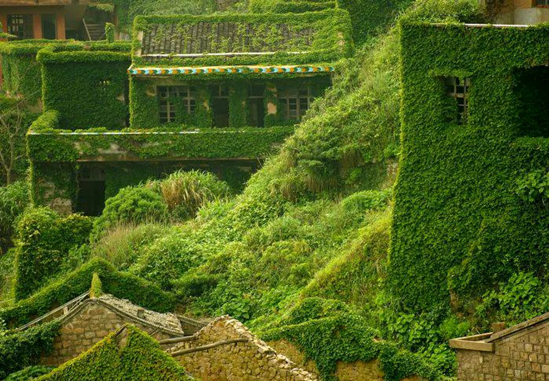Satul Houtouwan din China este complet acoperit de vegetație. Foto: Facebook