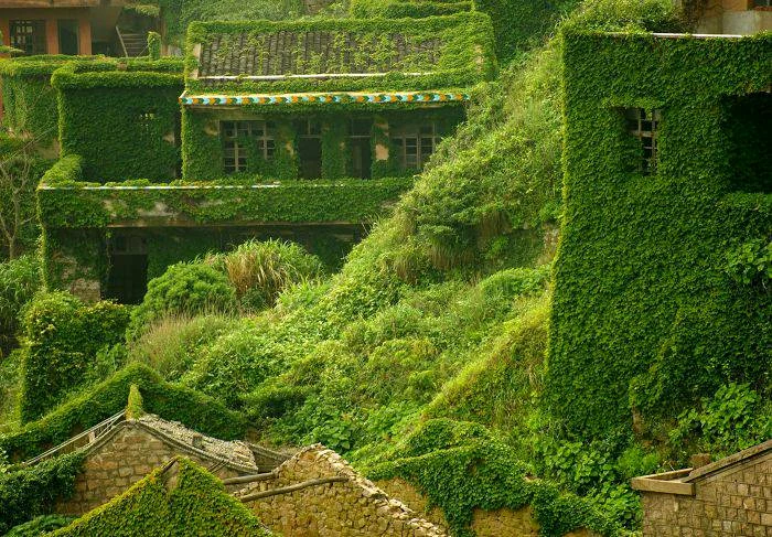 Satul Houtouwan din China este complet acoperit de vegetație. Foto: Facebook