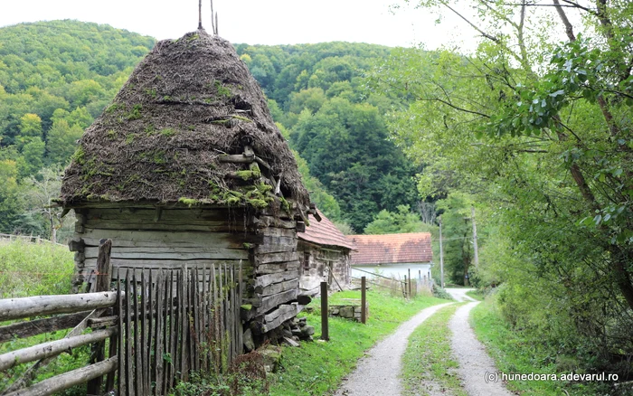 Comuna Bulzeștii de Sus. Foto Daniel Guță. ADEVĂRUL
