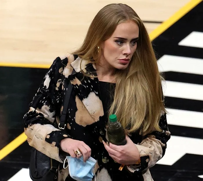 Adele are mai multe case în Londra și Los Angeles Foto: Getty Images