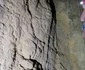 salvare pestera apuseni