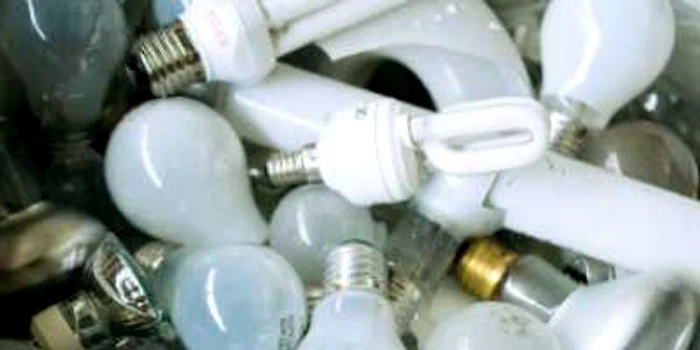 Becurile, reciclate doar în jumătate din marile magazine