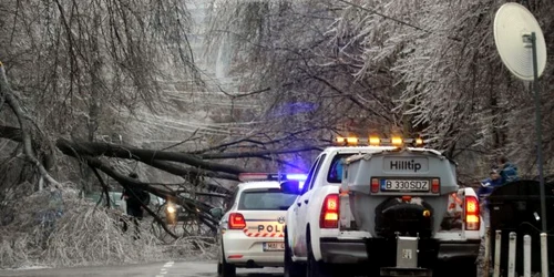 Polei Bucureşti / FOTO Click / Blitz / 26 ian 2019