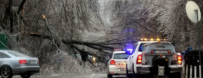 Mii de bucureşteni au sunat să anunţă că arborii a fost puşi la pământ de gheaţă Foto Click / Blitz