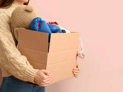 60 61 shutterstock 2610875113 jpg