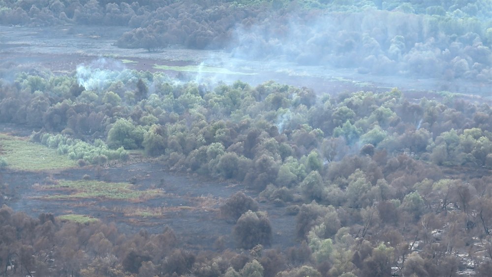 Delta Dunării arde de opt zile. Misiunea de stingere continuă. Incendiul a afectat aproximativ 85 de hectare de pădure şi lăstăriş