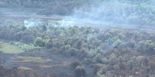 incendiu delta 7 foto ISU Tulcea jpg
