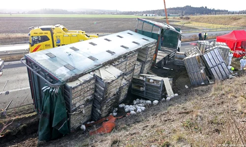 un camion cu gaini s a rasturnat pe o autostrada din germania foto DPA Matthias Bein jpg
