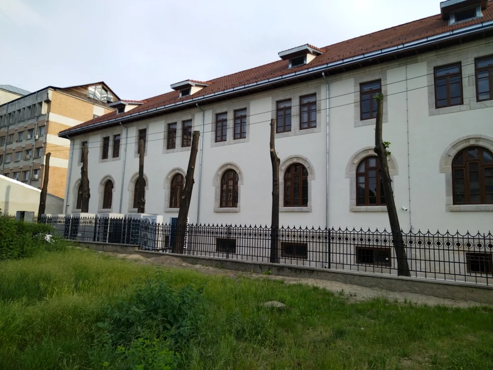Copaciii se află în curtea fostului Tribunal Vrancea FOTO: Ştefan Borcea