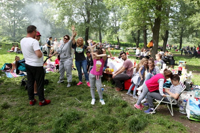 Anul trecut, zonele de picnic de la pădure erau pline de oameni, grătare, muzică și voie bună