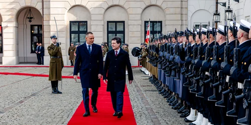 nicusor nawrocki jpg