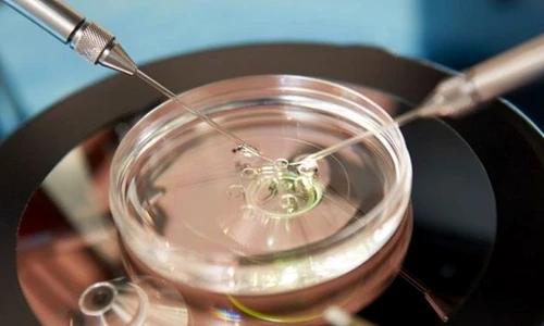 1 83407 original jpg jpeg