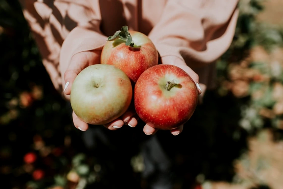 Fructul banal, care are incredibil de multe beneficii