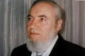 vindecator constantin mudava jpeg