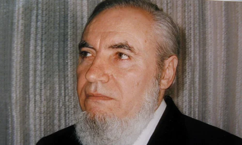 vindecator constantin mudava jpeg