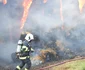 Incendiu devastator la ferma companiei Diana din Vâlcea Foto ISU Vâlcea jpg