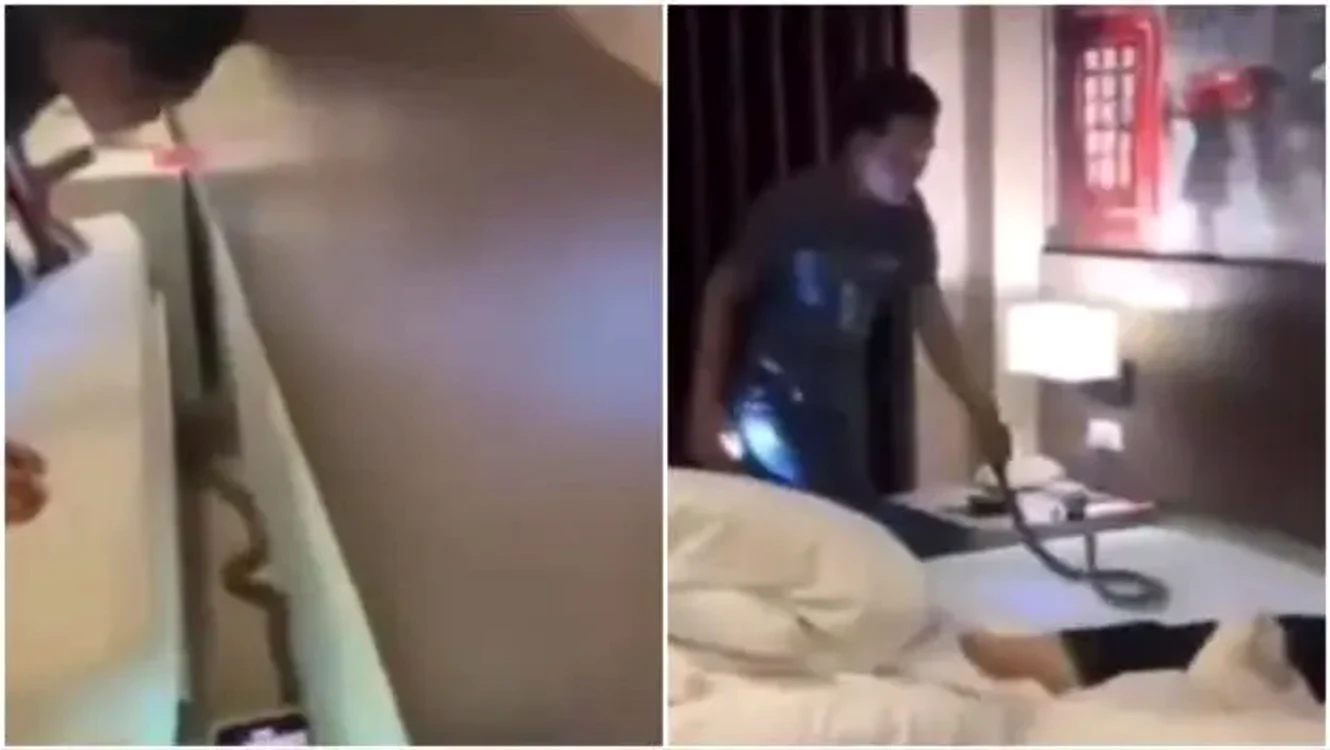 Cobra găsită într-o cameră de hotel Foto: captura video