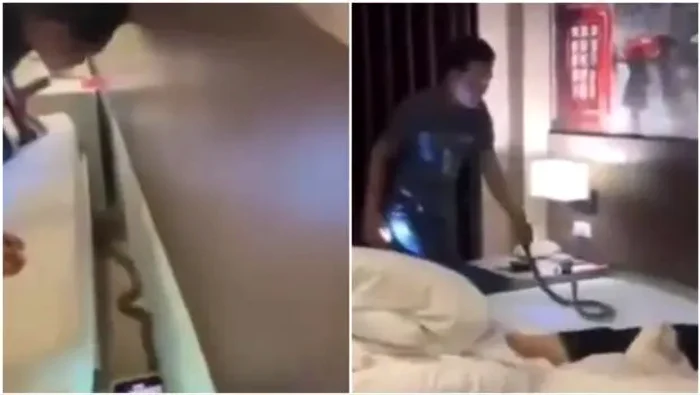 Cobra găsită într-o cameră de hotel Foto: captura video