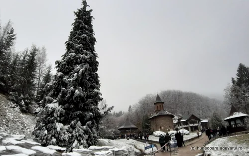 pelerinaj manastirea prislop foto daniel guta adevarul